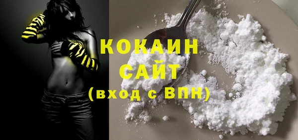 винт Дмитриев