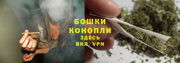 винт Дмитриев