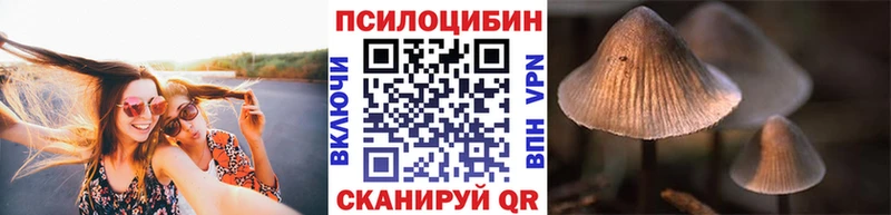 Купить  Усть-Джегута  Псилоцибиновые грибы прущие грибы 